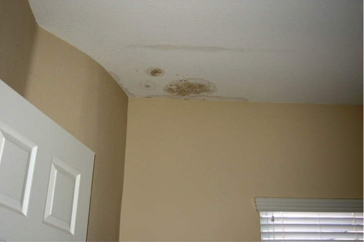 Water Damage Construction Defects